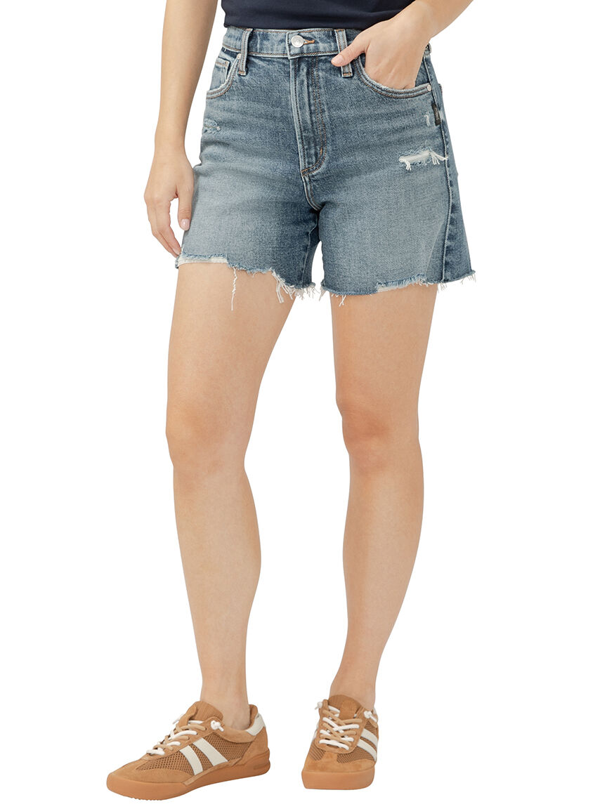 Highly Desirable High Rise Shorts Image 3