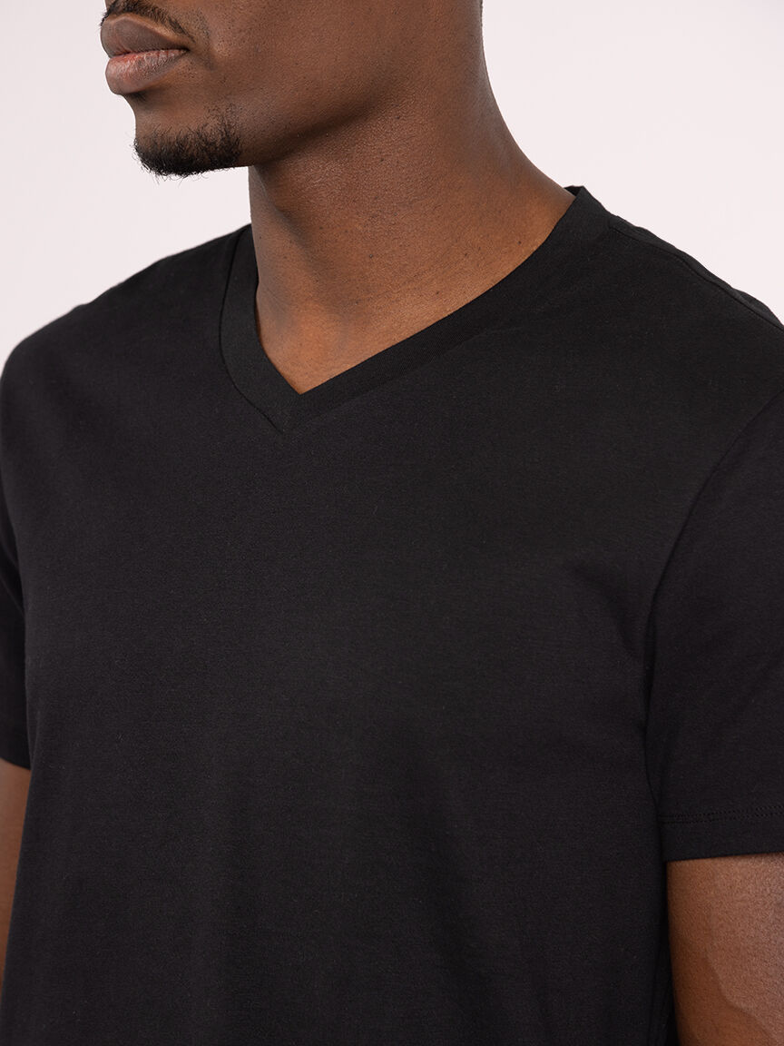 miles v neck basic tee Image 4