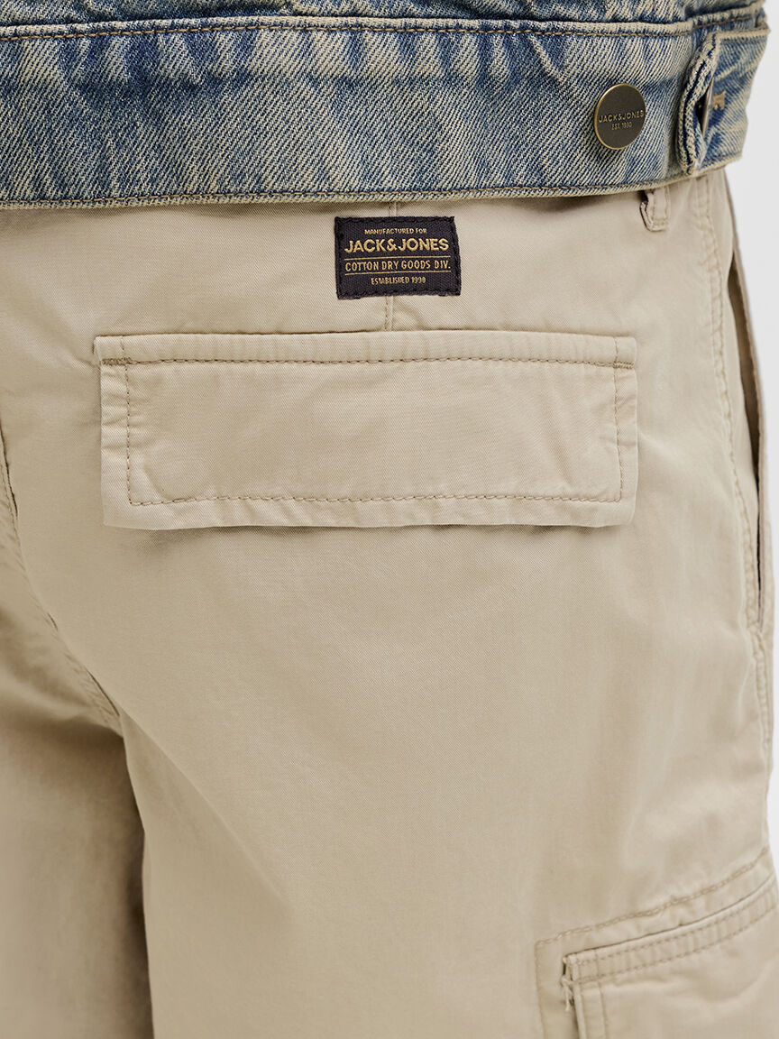 cole frank cargo short Image 6