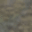 Dk Green Dk Green