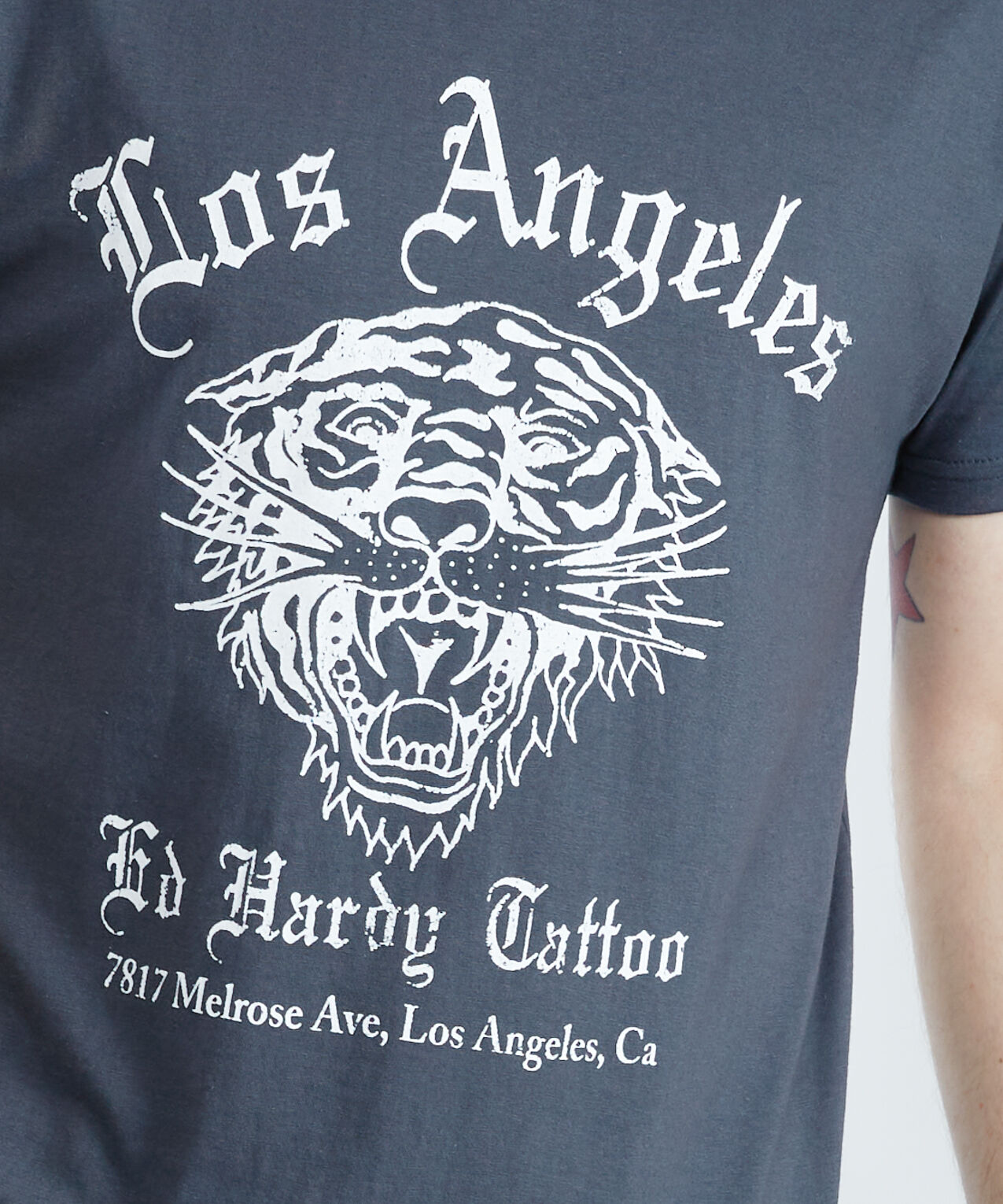 ehmd1100-31 - ed hardy la tiger Image 4