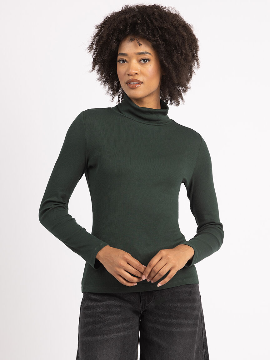 terra turtleneck top Image 1