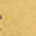 Gold Gold