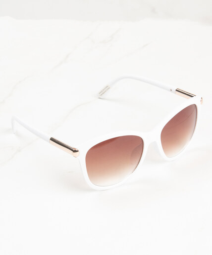 plastic frame sunglasses with gold temple Image 1