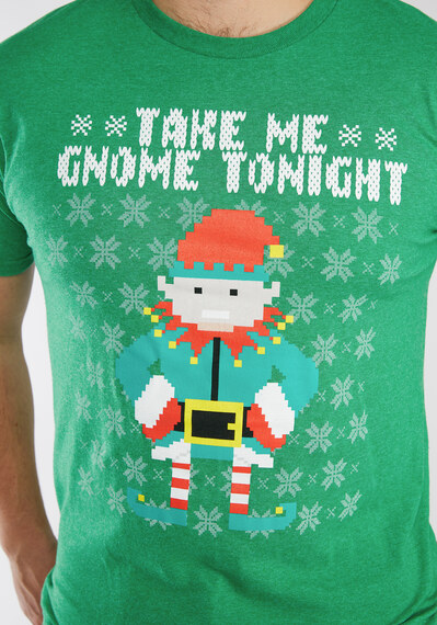 Take me Gnome Tonight Image 4