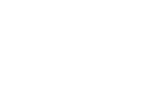 Ela logo